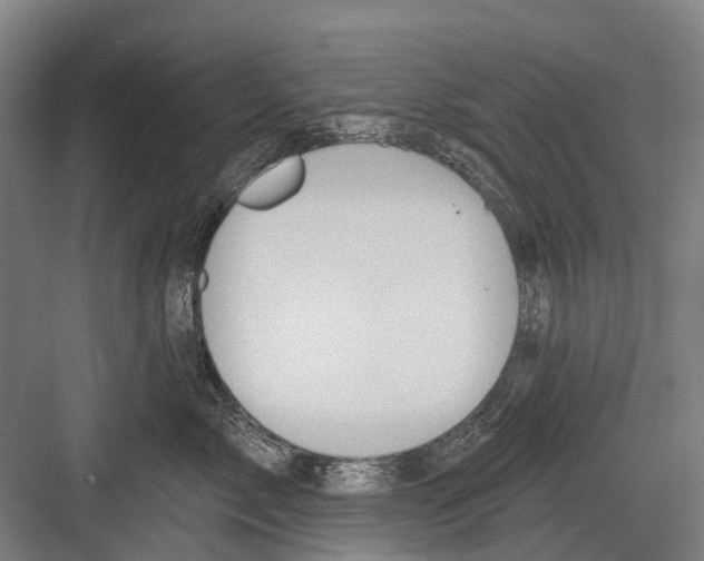 X0000081560717200702121355