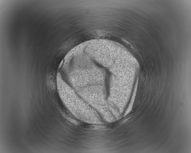 X0000081560719200702121355