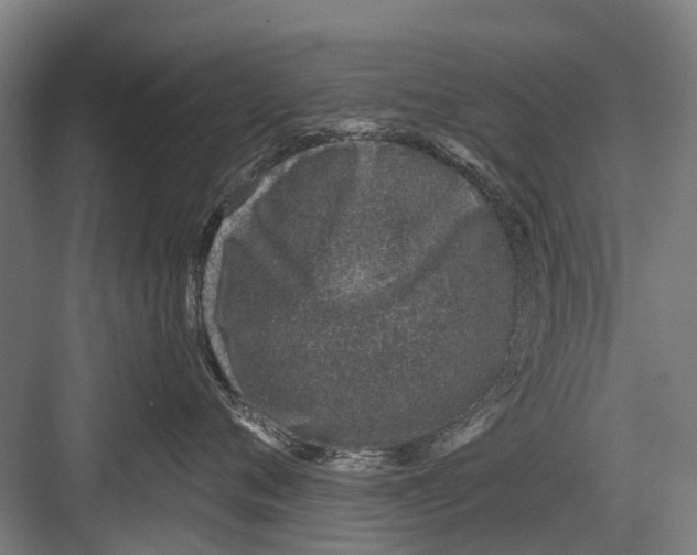 X0000081560720200702121355