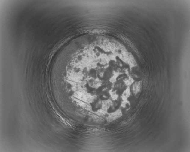 X0000081560721200702121355