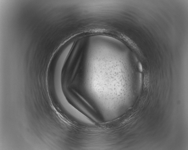 X0000081560722200702121355