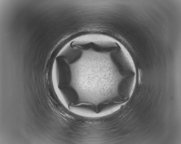 X0000081560723200702121355