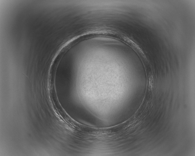 X0000081560724200702121355