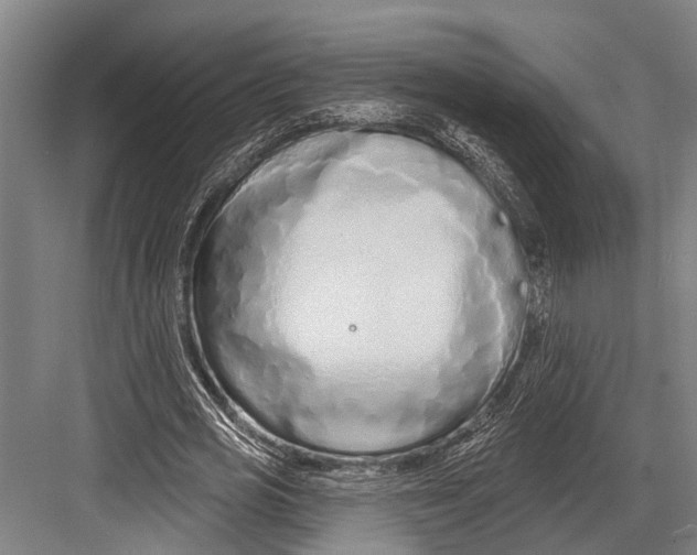 X0000081560725200702121355