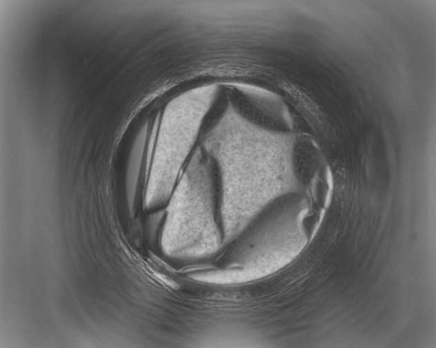 X0000081560727200702121355