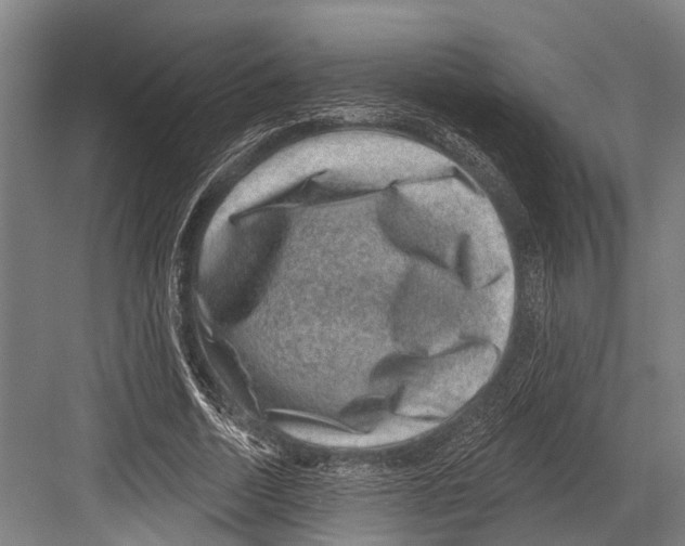 X0000081560730200702121355