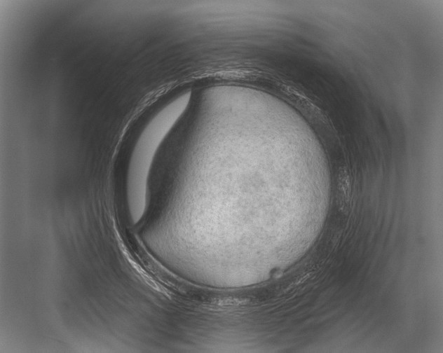 X0000081560734200702121355