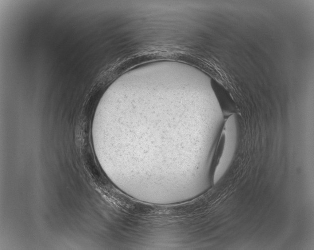 X0000081560736200702121355