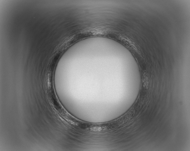 X0000081560740200702121355