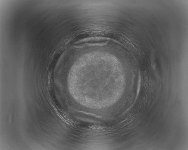 X0000081560742200702121355