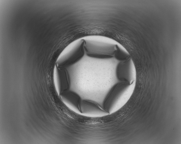 X0000081560743200702121355