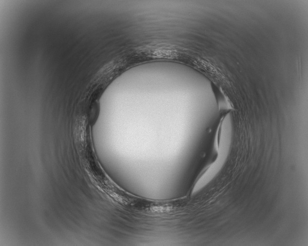 X0000081560744200702121355