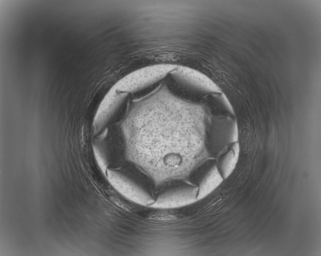 X0000081560747200702121355