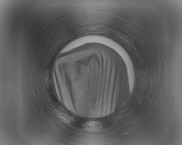 X0000081560748200702121355