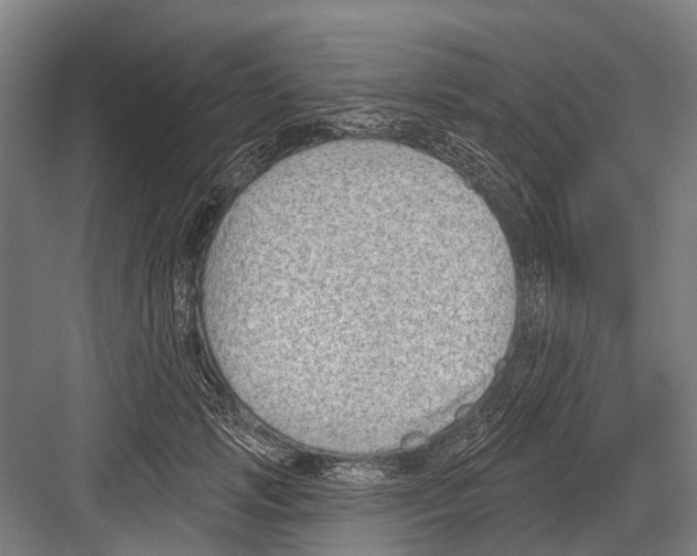 X0000081560749200702121355