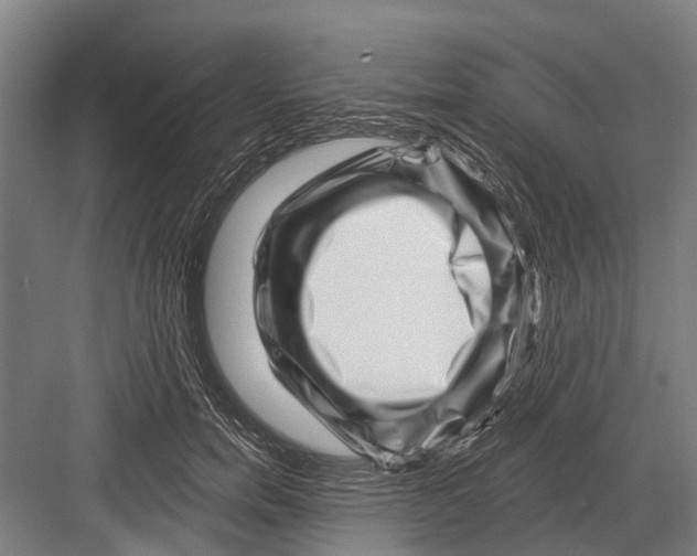 X0000081560750200702121355