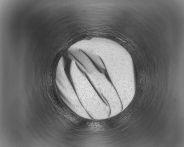 X0000081560751200702121355