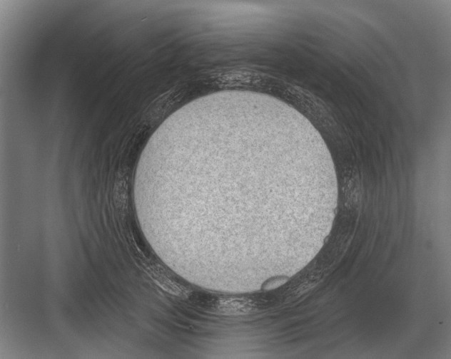 X0000081560753200702121355