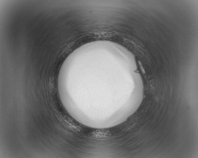 X0000081560756200702121355