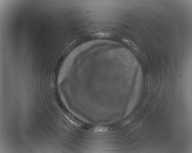 X0000081560760200702121355