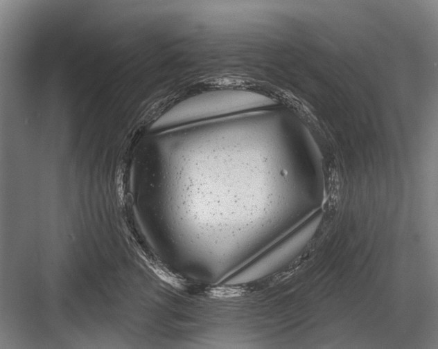 X0000081560762200702121355