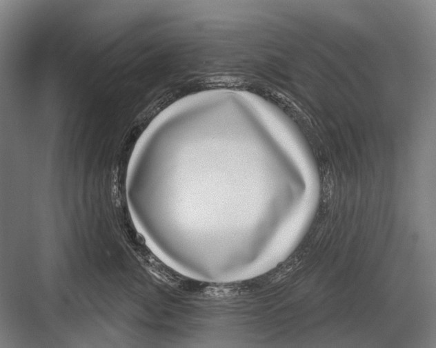 X0000081560764200702121355