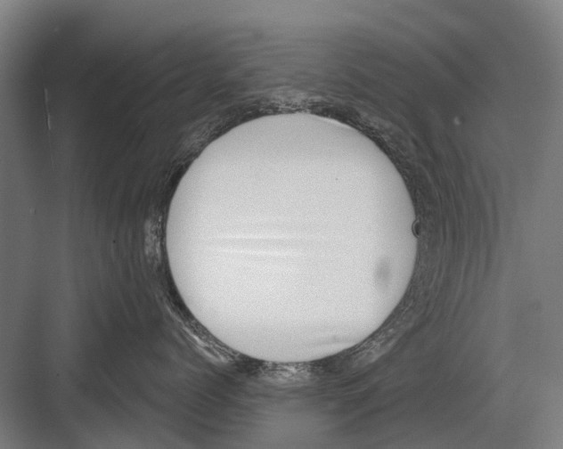 X0000081560768200702121355