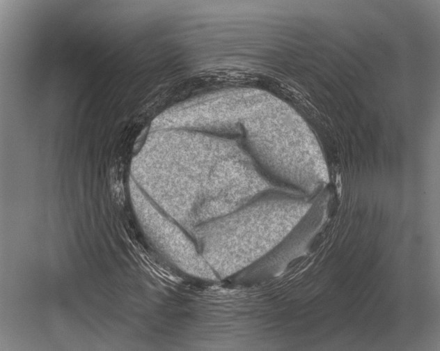X0000081560771200702121355
