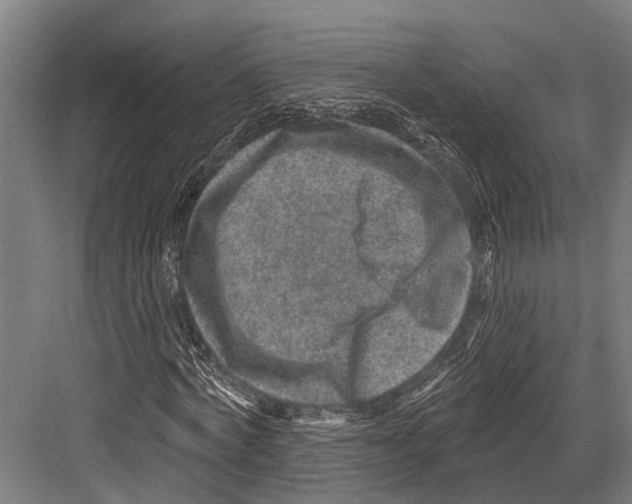 X0000081560772200702121355