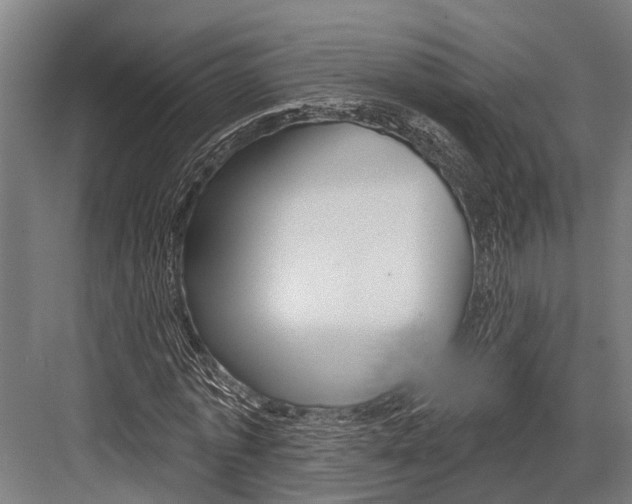 X0000081560773200702121355