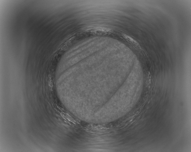 X0000081560774200702121355