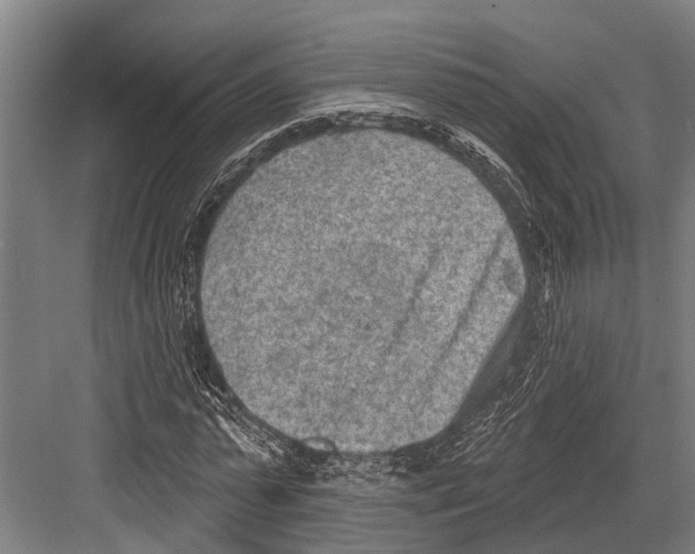 X0000081560775200702121355