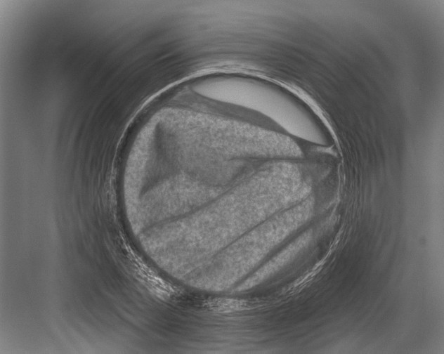X0000081560783200702121354