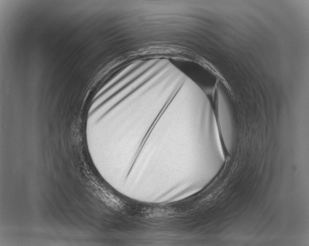 X0000081560786200702121354