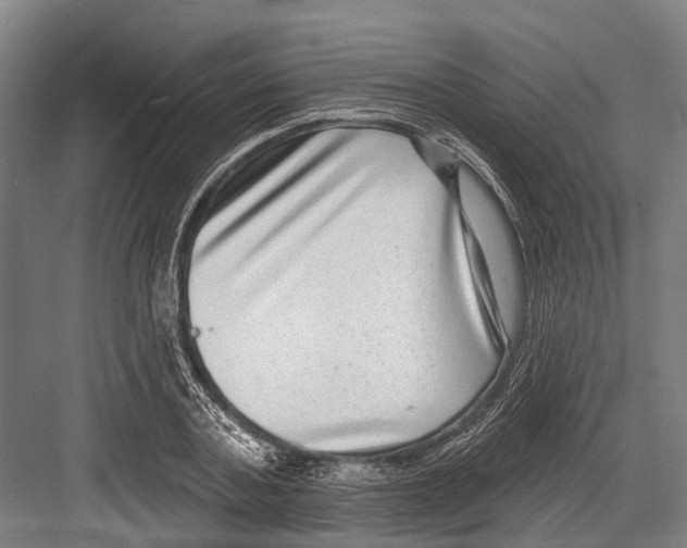X0000081560787200702121354