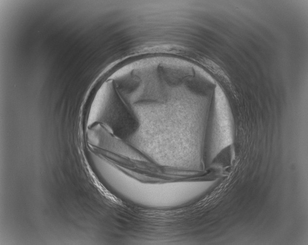 X0000081560792200702121354