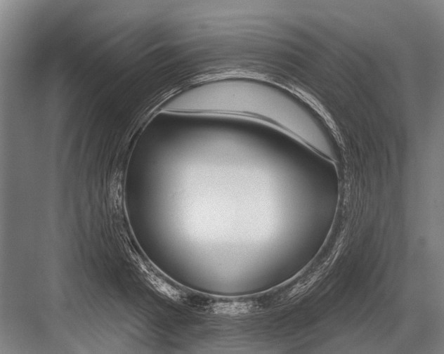 X0000081560793200702121354