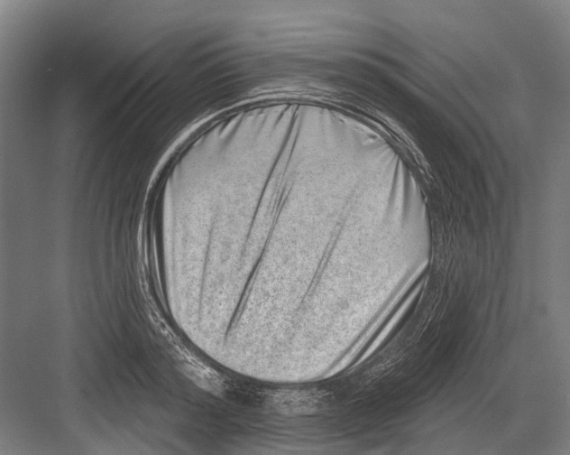 X0000081560796200702121354
