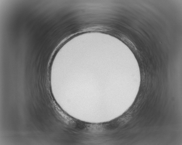 X0000081560800200702121354