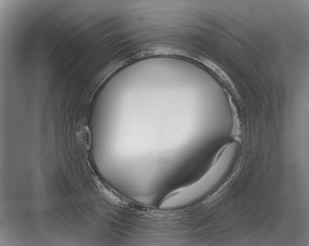 X0000081560801200702121354
