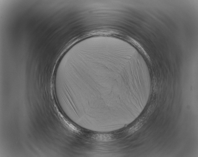 X0000081560802200702121354