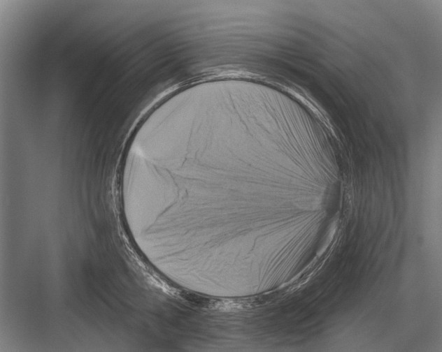 X0000081560806200702121354