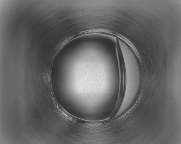 X0000081560809200702121354