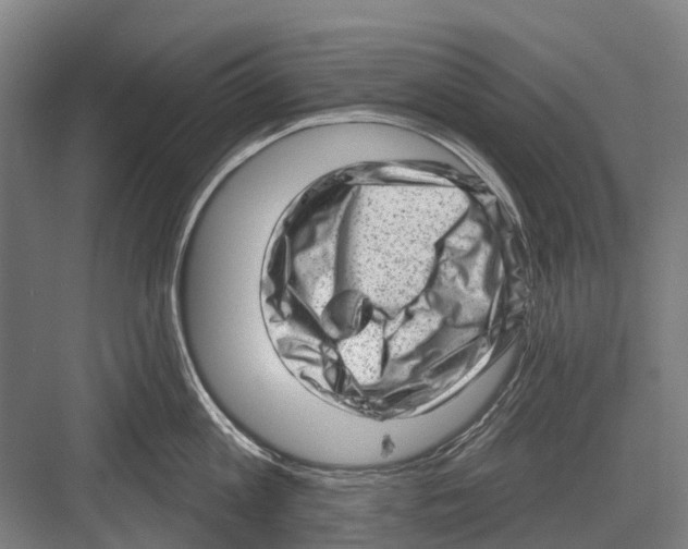 X0000081560813200702121354