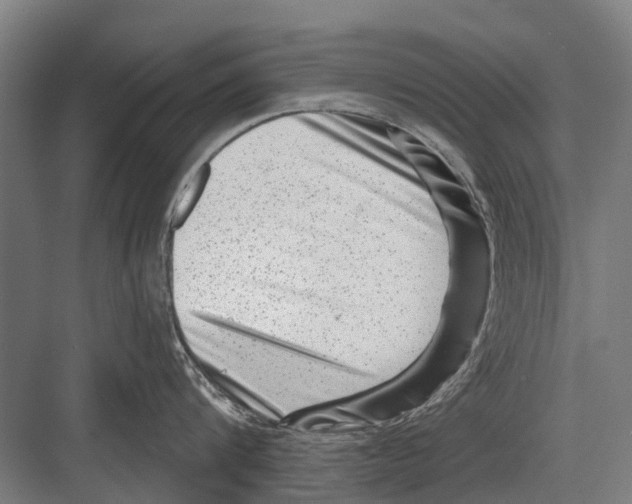 X0000081560816200702121354