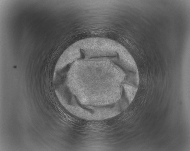 X0000081560817200702121353