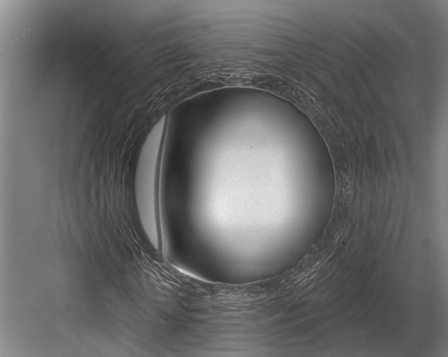 X0000081560818200702121353