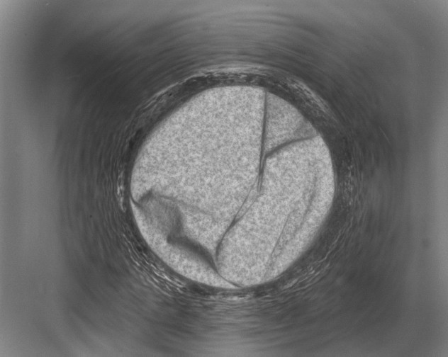 X0000081560821200702121353