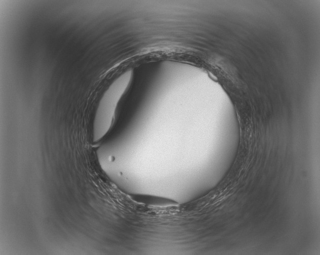 X0000081560822200702121353