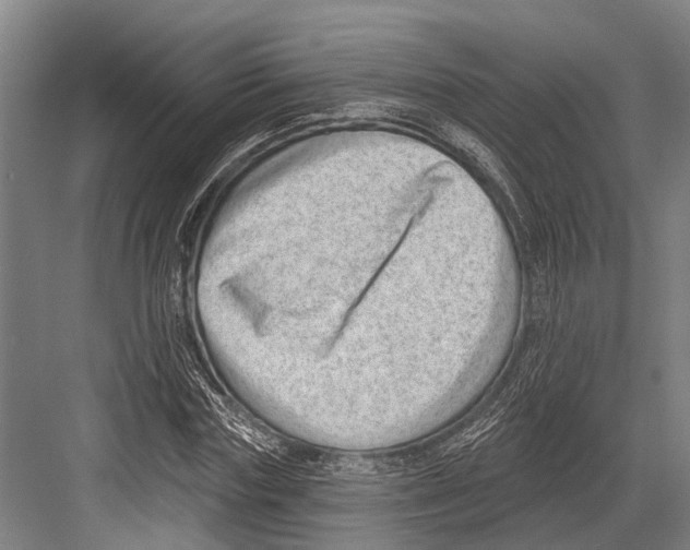 X0000081560827200702121353